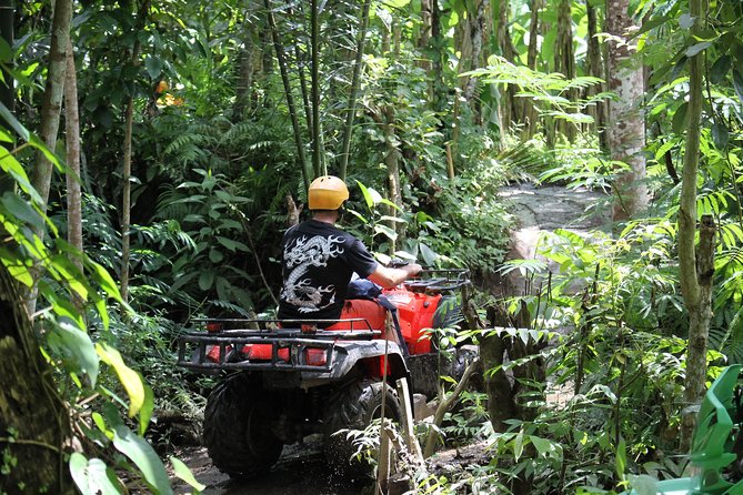 1.5 Hours Bali ATV Quad Tour - Lunch on the Day: The Buffer Between Adventure and Dinner