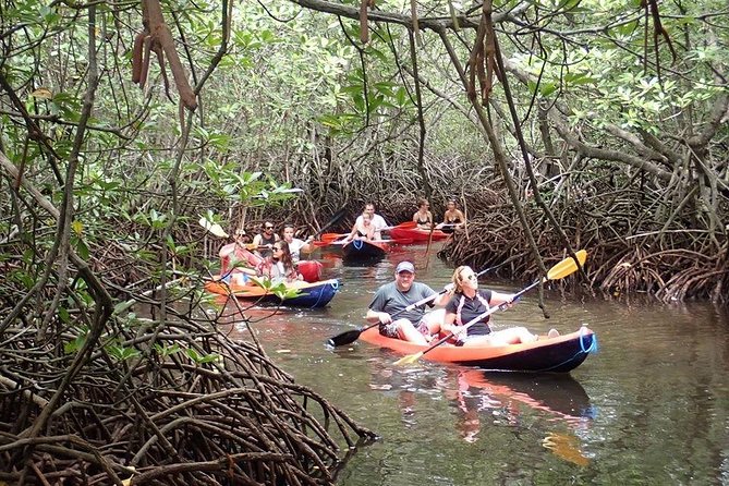 1 Hour Mangrove Tour From Lembongan with Kayak, Paddle, or Boat - Price and value: is $10.70 a good deal?