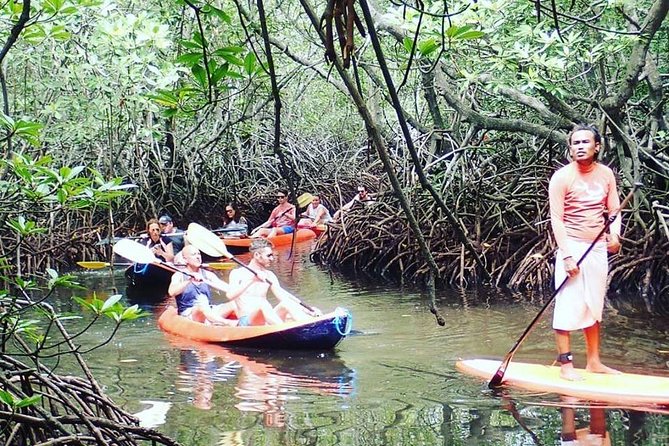 1 Hour Mangrove Tour From Lembongan with Kayak, Paddle, or Boat - Kayak vs SUP, and why your choice changes the vibe