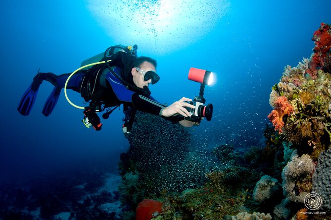 2 or 3 dives in Nusa Lembongan and Penida, for certified diver (in Lembongan) - Equipment, guides, and why the small group matters