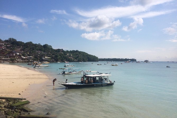 2 or 3 dives in Nusa Lembongan and Penida, for certified diver (in Lembongan) - Price and value: what you get for $105