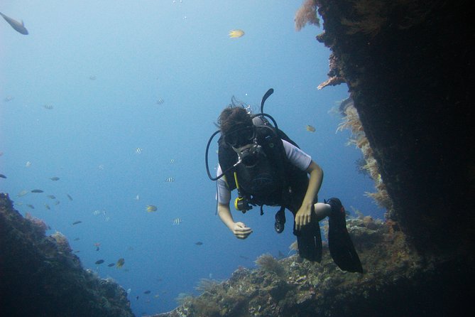 2 PADI Certified Dives at Tulamben from Bali - Who Should Reconsider (Health, Timing, and Certification Proof)