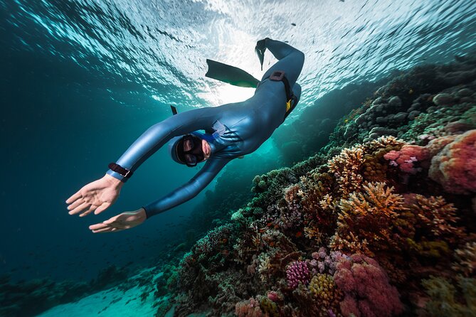 3-Day Freediving Level 1 Course - Key things that make this course work