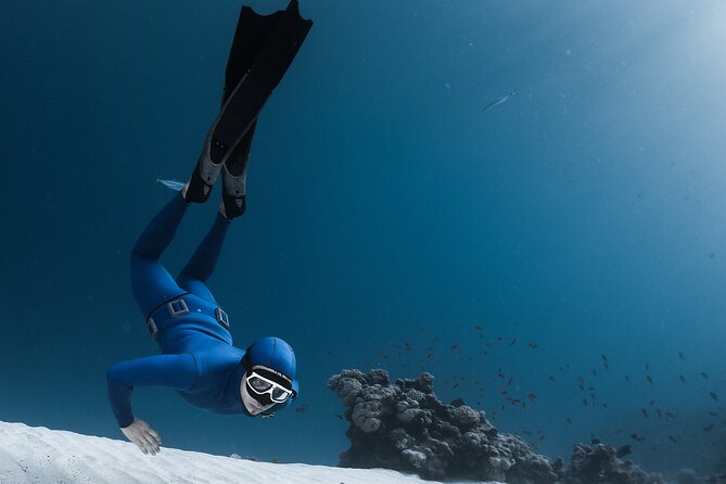 3-Day Freediving Level 1 Course - Small groups, real instructors, and a safety-first pace