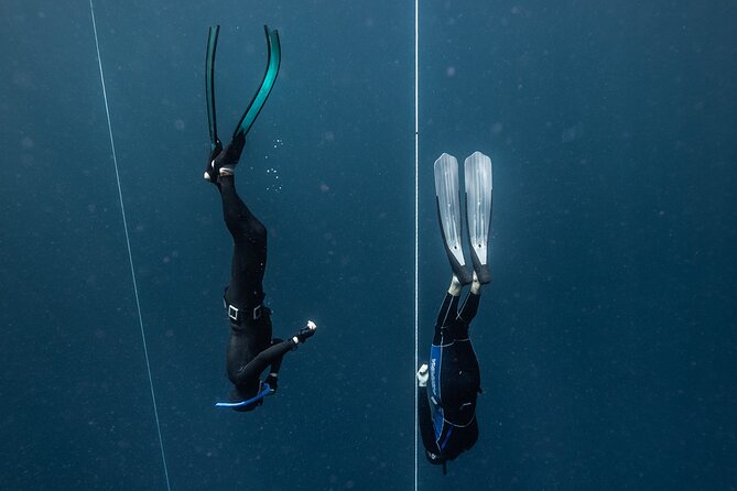 3-Day Freediving Level 1 Course - What you take home: certification, digital materials, and underwater photos
