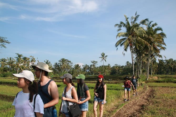 3-Day Private Sightseeing Tour of Bali with Hotel Pickup - What to Pack and How to Avoid Getting Stressed