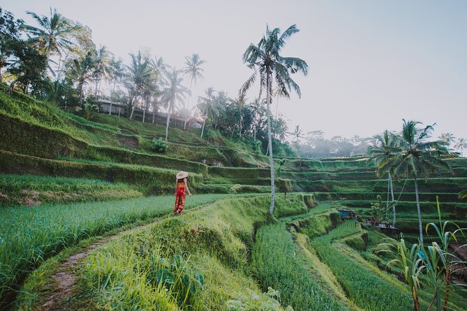 3 Days for the best of Ubud Private Tour - A smooth 3-day Ubud plan, powered by a guide and a comfortable car