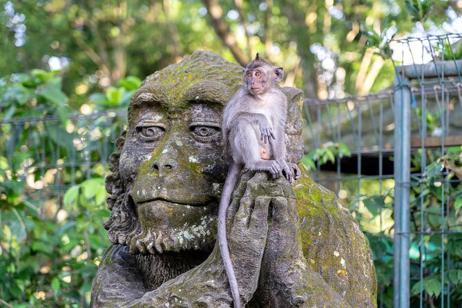 3 Days for the best of Ubud Private Tour - Day 2: Tukad Cepung cave waterfall, Penglipuran, and three different styles of water