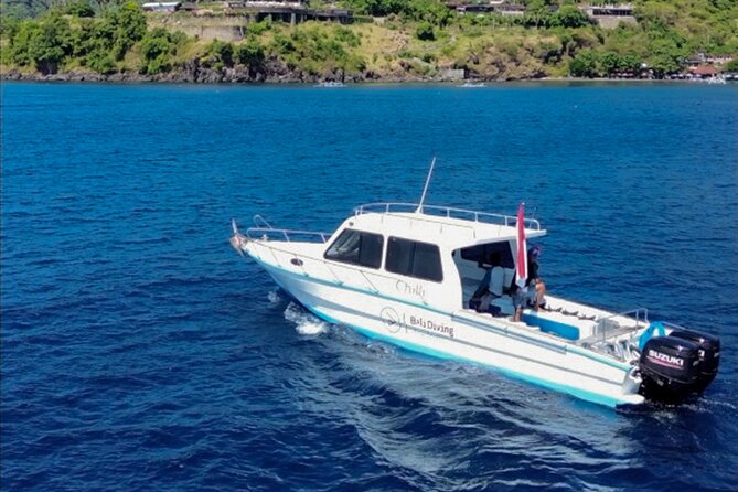 3 Epic Dives in Nusa Penida - Certified Divers' Day Trip - One Day, Three Underwater Sessions: Why This Works From Kuta