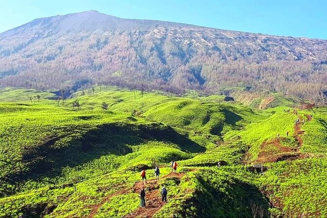 3D 2N Mount Rinjani Trekking Tour To Summit And Lake - Guides and porters, including Bas Rinjani and Suedy