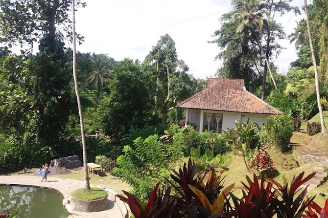 4-Hour Private Tour in Jatiluwih Terraces and Butterfly Park - Penatahan waterspring: a soothing break after the walking