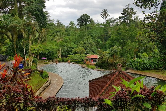 4-Hour Private Tour in Jatiluwih Terraces and Butterfly Park - Who this tour fits best (and who might want something else)
