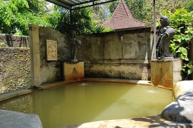 4-Hour Private Tour in Jatiluwih Terraces and Butterfly Park - Price value: is $70 fair for this 4-hour private mix?