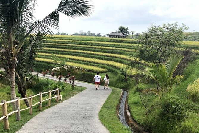 4-Hour Private Tour in Jatiluwih Terraces and Butterfly Park - Bali Butterfly Park: the easy, calming start