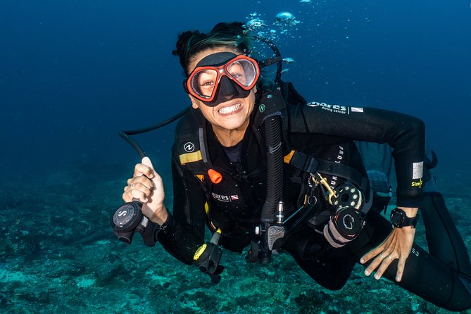 5 Fun Dives in Nusa Lembongan (for certified divers) - Swim with a Mola Mola - Key highlights worth caring about