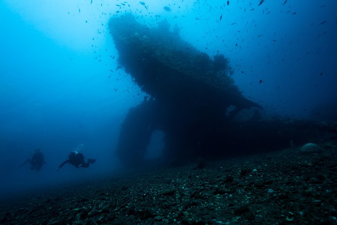 5 Fun Dives in Tulamben (for certified divers) - Discover famous diving sites - What the center setup feels like: gear, showers, lockers, and Wi-Fi