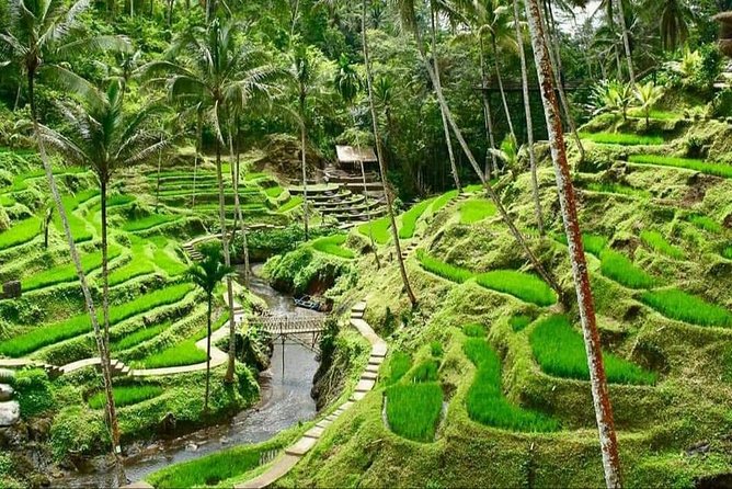 6 Days Best Of Bali And Nusa Penida All Inclusive Private Tour - The Big Picture: Bali Geography Plus One Long Penida Day