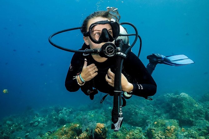 7 Fun Dives in Nusa Lembongan (for certified divers) - Premium Value Package - Staff and Safety: What the Strongest Praise Adds Up To