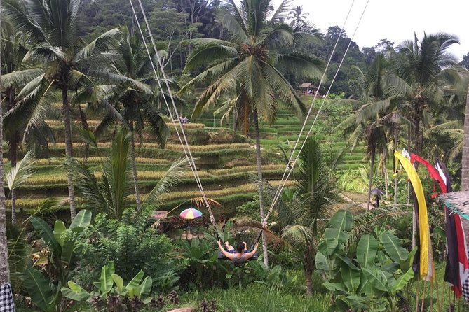 Adventures Tour : Bali Hidden Canyon Trekking - Beji Guwang - Beji Guwang Hidden Canyon Trek: Water, Cliffs, and Photo Moments