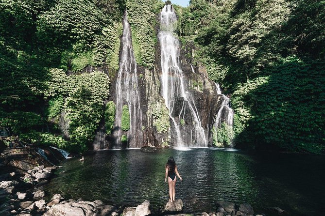 Aling-aling Waterfall tours - Banyumala Twin Waterfalls: swim, pictures, and a calmer finish