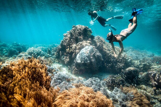 All Inclusive Bali Blue Lagoon and Tanjung Jepun Snorkeling - Key Highlights You’ll Actually Feel