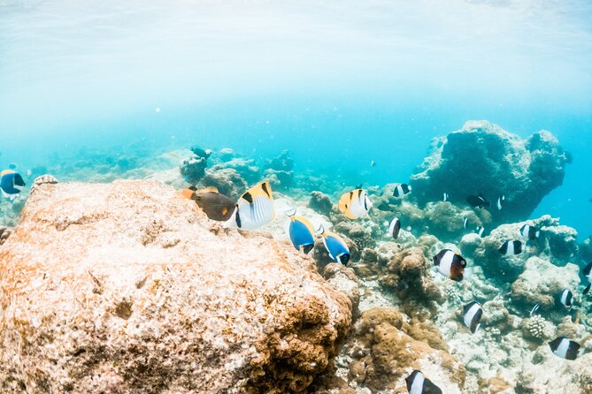 All Inclusive Bali Blue Lagoon and Tanjung Jepun Snorkeling - Blue Lagoon: Best Spot for Photos, Just Watch the Crowd Level