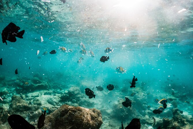 All Inclusive Bali Blue Lagoon and Tanjung Jepun Snorkeling - Lunch, Water, and Onshore Comfort That Really Helps