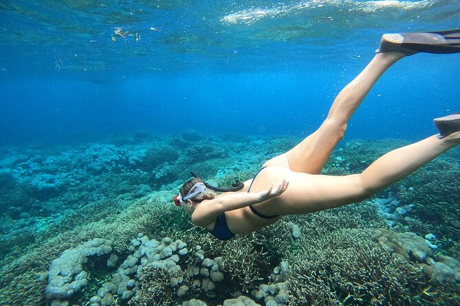 All Inclusive Bali Blue Lagoon and Tanjung Jepun Snorkeling - Photography and What to Do With Your Camera Time