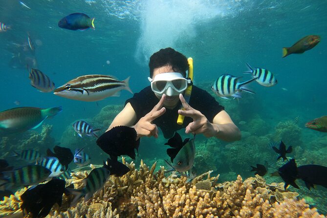 All Inclusive Bali Blue Lagoon and Tanjung Jepun Snorkeling - Who This Tour Fits Best in Your Bali Plan