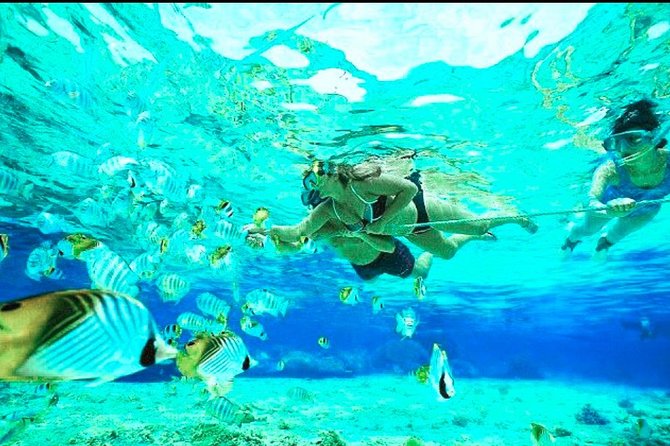 All Inclusive : Bali Blue Lagoon Snorkeling, Lunch, and Transport - Optional upgrades: ATV, Beji Guwang Hidden Canyon, or waterfalls