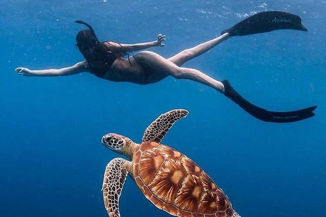 All Inclusive : Bali Blue Lagoon Snorkeling with Lunch &Transfers - Quick hits from Bali Blue Lagoon, Padangbai, and Tanjung Jepun