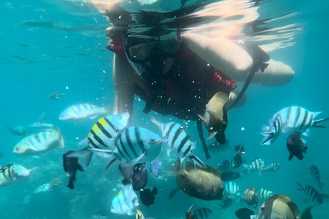 All Inclusive : Bali Blue Lagoon Snorkeling with Lunch &Transfers - Ubud to Padangbai: where the day starts and why transfers matter