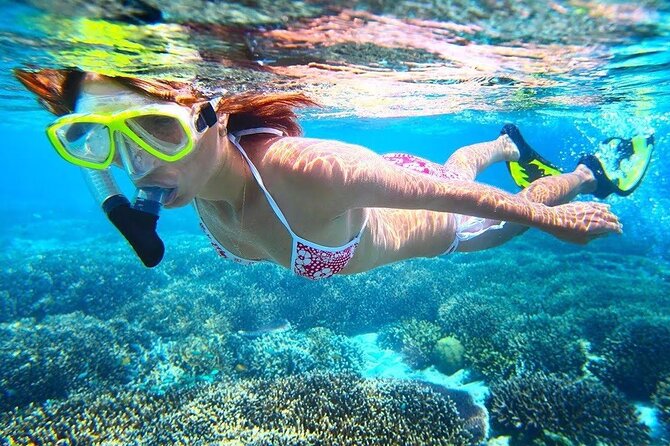 All Inclusive : Bali Blue Lagoon Snorkeling with Lunch &Transfers - Who this tour is best for (and who should think twice)