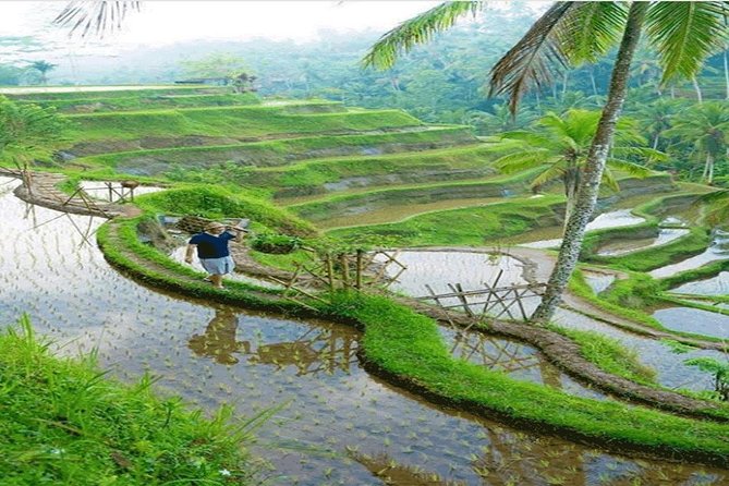ALL INCLUSIVE - Bali Gate Of Heaven Tour - Timing and Logistics: What to Expect From a Long, Structured Day