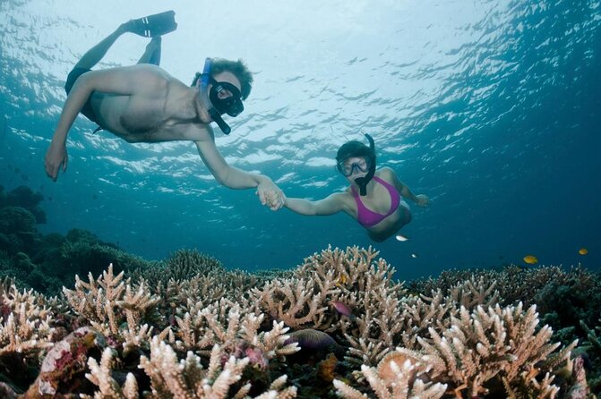 All Inclusive Bali Scuba Diving at Tulamben with Lunch -Transport - Key Points To Know Before You Go