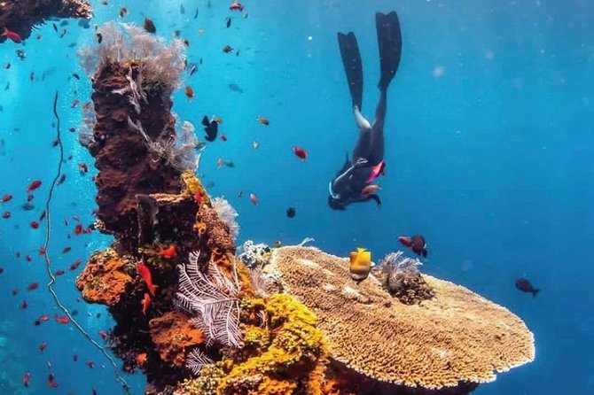 All Inclusive Bali Scuba Diving at Tulamben with Lunch -Transport - From Ubud Pick-Up To Padang Bay Launch Day