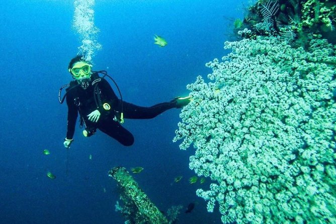 All Inclusive Bali Scuba Diving at Tulamben with Lunch -Transport - Price, Value, And Who This Tour Fits Best