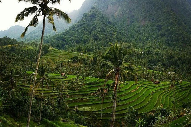 All inclusive Bali Sekumpul Waterfalls Trekking Tour - Safety and comfort: what you should bring for a wet, active trek