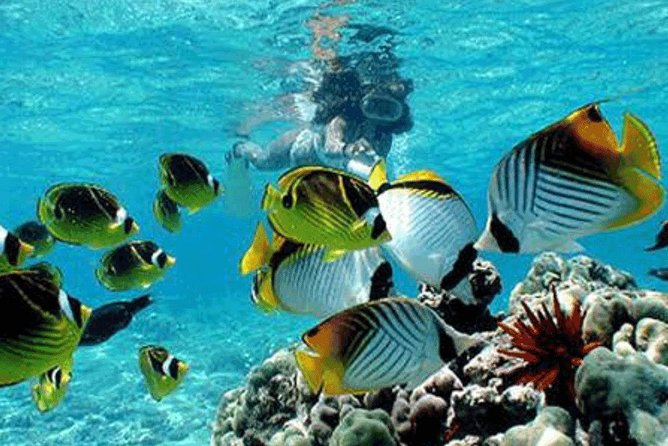 All Inclusive Bali Snorkeling Blue Lagoon tour experience - Blue Lagoon snorkeling: the main event, with weather in play