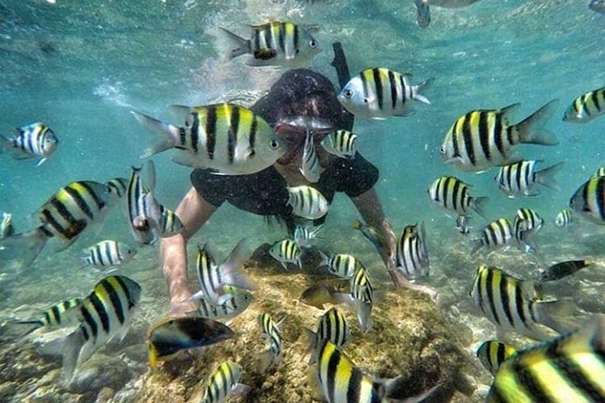 All Inclusive Bali Snorkeling Blue Lagoon tour experience - Bias Tugel Beach: sun time and a break from the gear