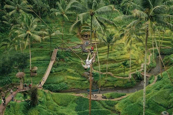 All inclusive Private 3 day tours package : Bali highlights - Private Bali, done the smart way from Kuta