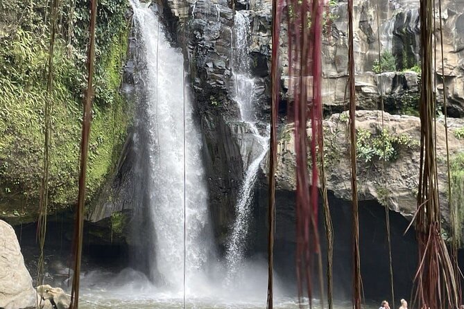 All Inclusive Ubud Cultural and Natural Highlights Tour - Stop 1: Bali Traditional House Gung Aji in 30 minutes