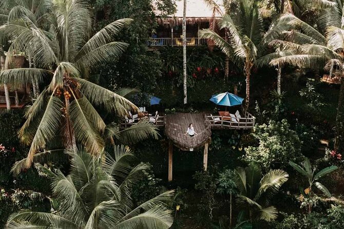 All-Inclusive Ubud Private Tour - Pickup, Timing, and How the Private Driver Keeps You on Track