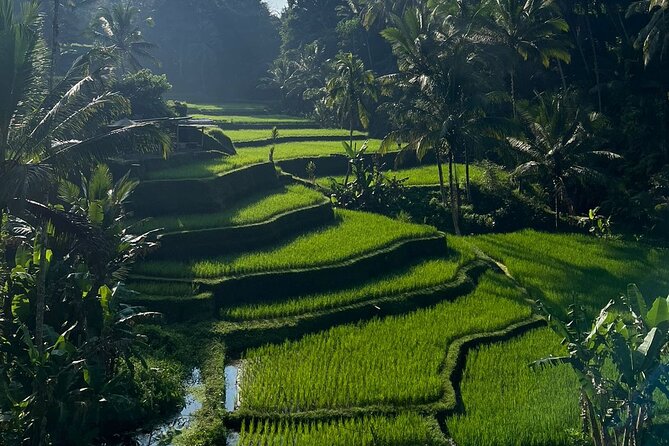 All Inclusive Ubud Tour - Tegalalang Rice Terrace: subak views without the rush