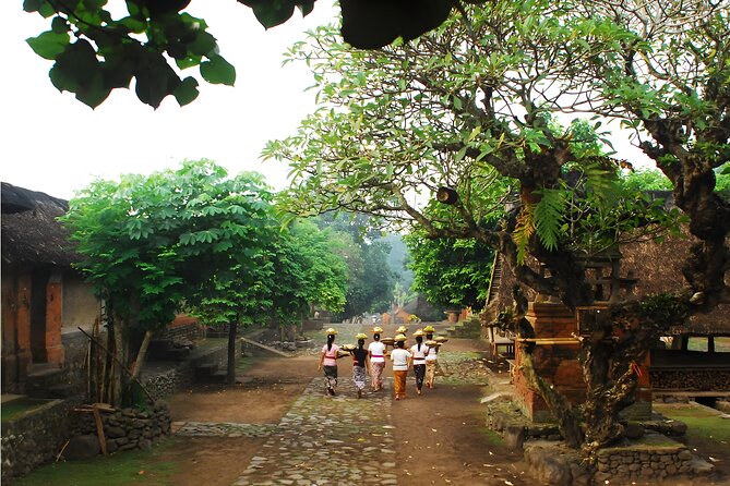 Amazing Private East Bali Full-Day Tour - Timing, Comfort, and Dress: Your Day at a Glance