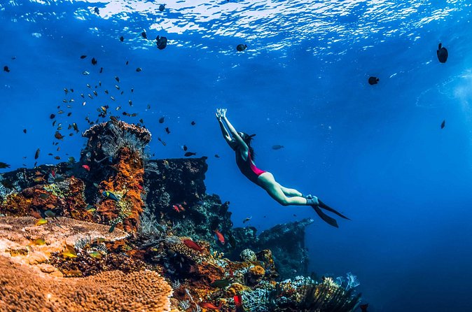 Amed Bali Snorkelling: Japanese Shipwreck & Vienna Beach Tour - Pantai Amed: reef fish, coral, turtles, and the shipwreck area