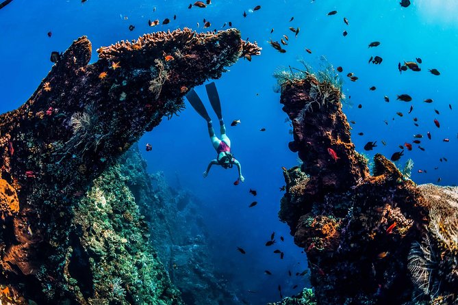 Amed Bali Snorkelling: Japanese Shipwreck & Vienna Beach Tour - Vienna Beach Resort area: calm waters and a second snorkel without the stress