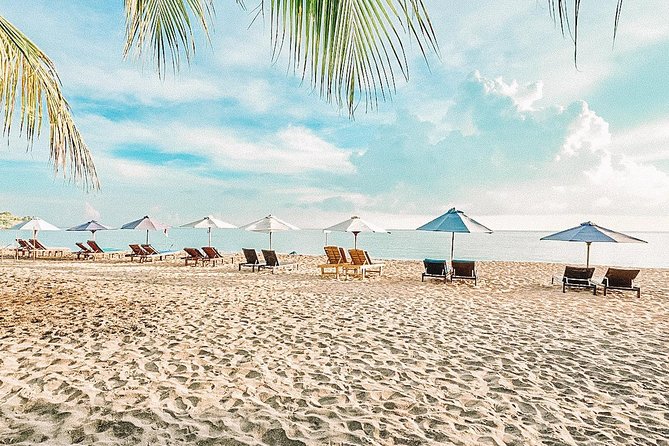 Amed Bali Snorkelling: Japanese Shipwreck & Vienna Beach Tour - Guides matter: what stands out in the feedback