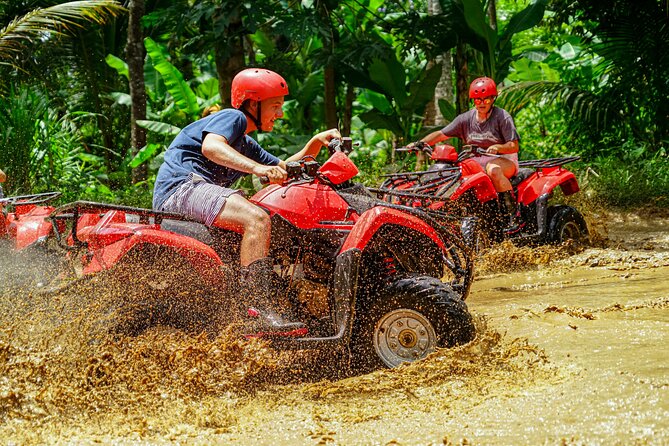 ATV Quad Bike Bali with Waterfall Gorilla Cave and Lunch - The Gorilla Cave and waterfall route: what you will actually see