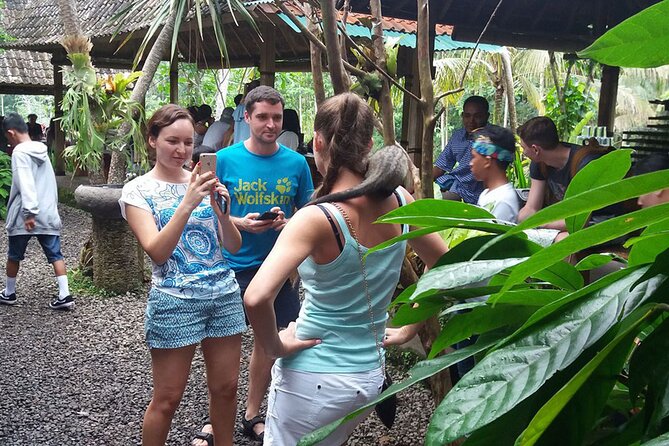 ATV Quad Bike with Kintamani Volcano Tour - All Inclusive - Tegalalang Rice Terrace: the Ubud-area classic